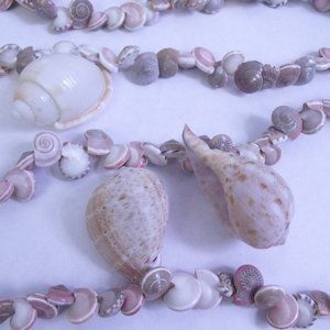 Seashell Umbonium Shell Garland